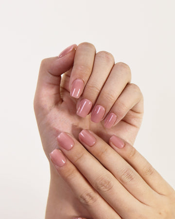 Winter Pink - 2539