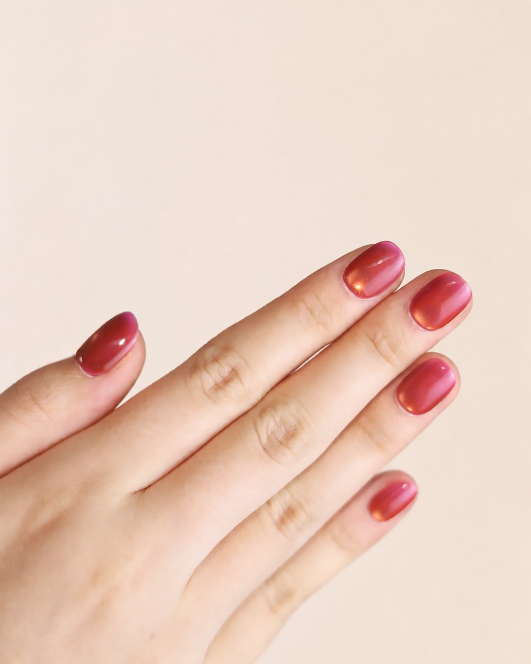 Golden Mandarin