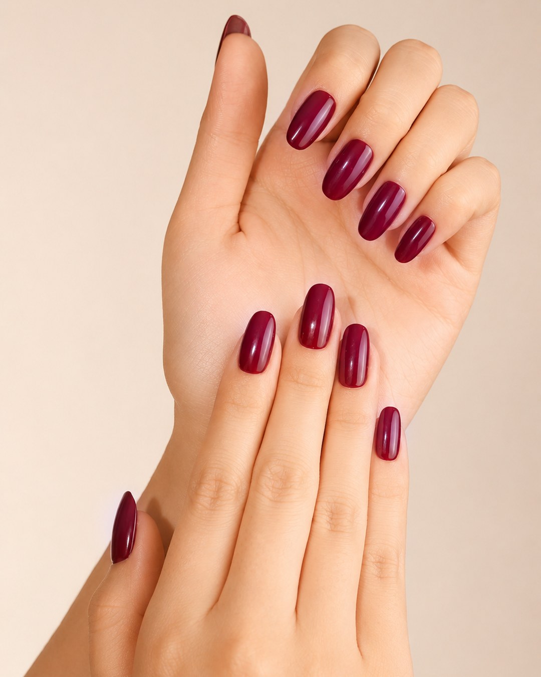 Royal Orchid