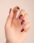 Royal Orchid