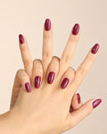 Royal Orchid