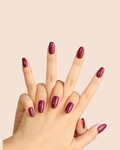 Royal Orchid